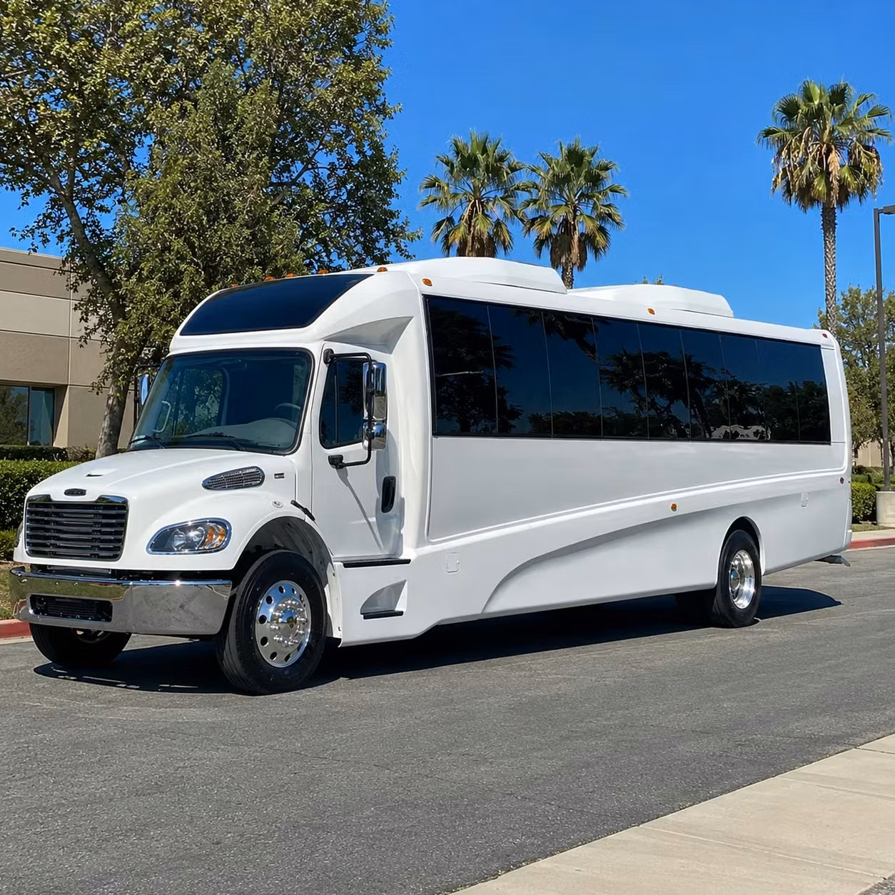 avondale prom homecoming transportation services