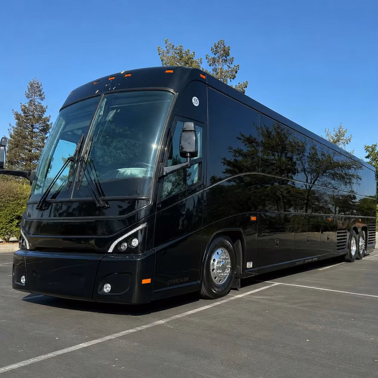 charter bus rentals for avondale festivals and community events